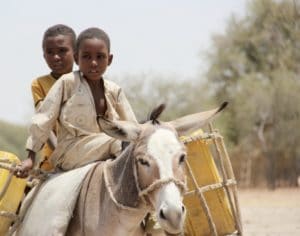 Picture taken in Chad, 2012 © Tom Steven
