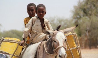 Picture taken in Chad, 2012 © Tom Stevens